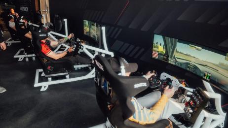 In Sim Rig