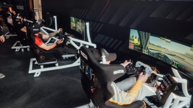 In Sim Rig