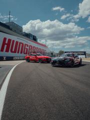 Safety Car und Medical auf der Strecke