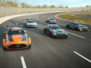 AMG Fahrzeuge bei einem Rennen