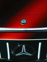 Nahaufnahme AMG Wappen auf der Motorhaube
