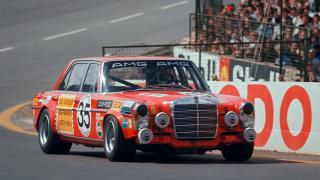 The legendary red pig on the racetrack