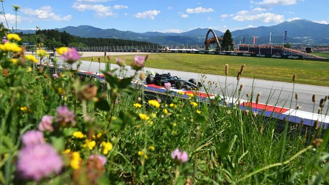 In the background of the image, the W16 drives through the green landscape of the Red Bull Ring, while a flower meadow can be seen in the foreground.
